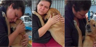 Cãozinho se emociona com aproximação carinhosa de mulher e recusa comida para abraçá-la