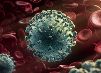 Coronavírus sofre mutação e leva Reino Unido a novo lockdown