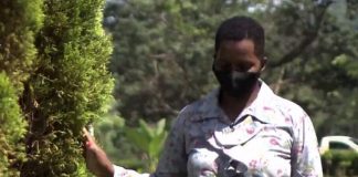 Mulher é libertada após viver 38 anos em condições de escravidão em MG