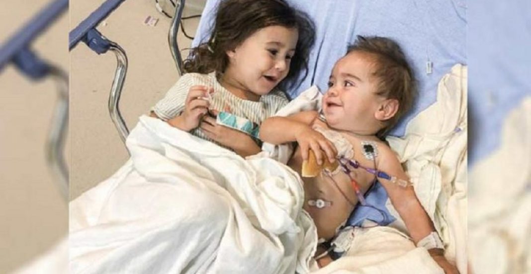 Com apenas 4 anos menina doa medula e salva seu irmão mais novo