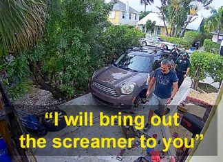 Homem recebe 4 policiais em sua casa porque seu papagaio gritava para deixá-lo sair