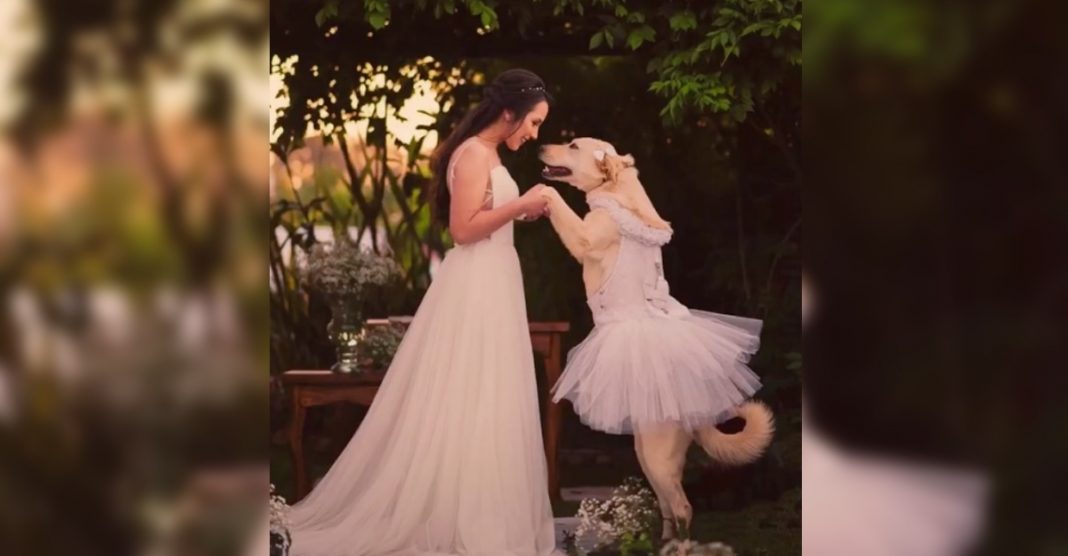 Esta Golden foi dama de honra no casamento de sua mãe, posando até mesmo de mãos dadas