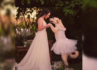 Esta Golden foi dama de honra no casamento de sua mãe, posando até mesmo de mãos dadas