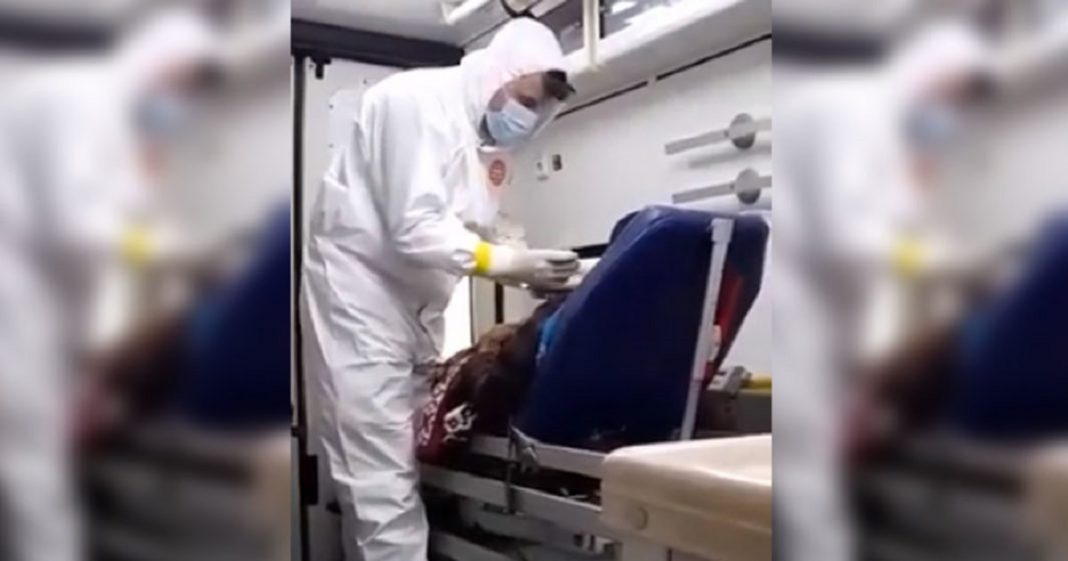 Bombeiro doa a própria refeição à idoso que aguardou 8 horas para ser internado dentro de ambulância [VÍDEO]