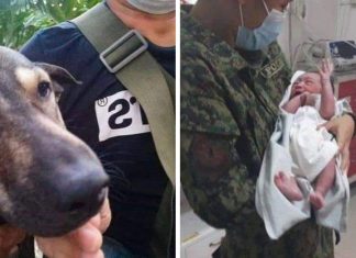 Cachorro late desesperadamente para pessoas que transitavam para salvar recém-nascido em um aterro sanitário