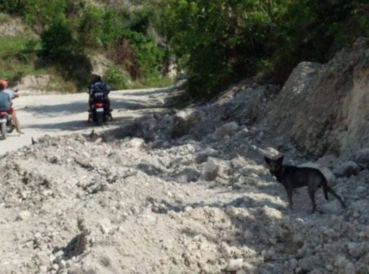 revistacarpediem.com - Cachorro late desesperadamente para pessoas que transitavam para salvar recém-nascido em um aterro sanitário