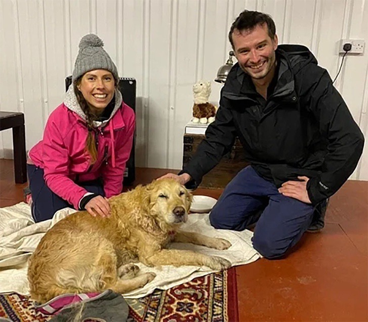 revistacarpediem.com - Cachorrinha é carregada por mais de 10km quando a viram perdida em ‘Não podíamos deixá-la sozinha’