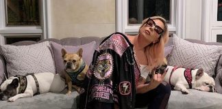Lady Gaga oferece US$ 500 mil por seus dois cães que foram roubados durante passeio com cuidador
