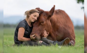 revistacarpediem.com - Inicio