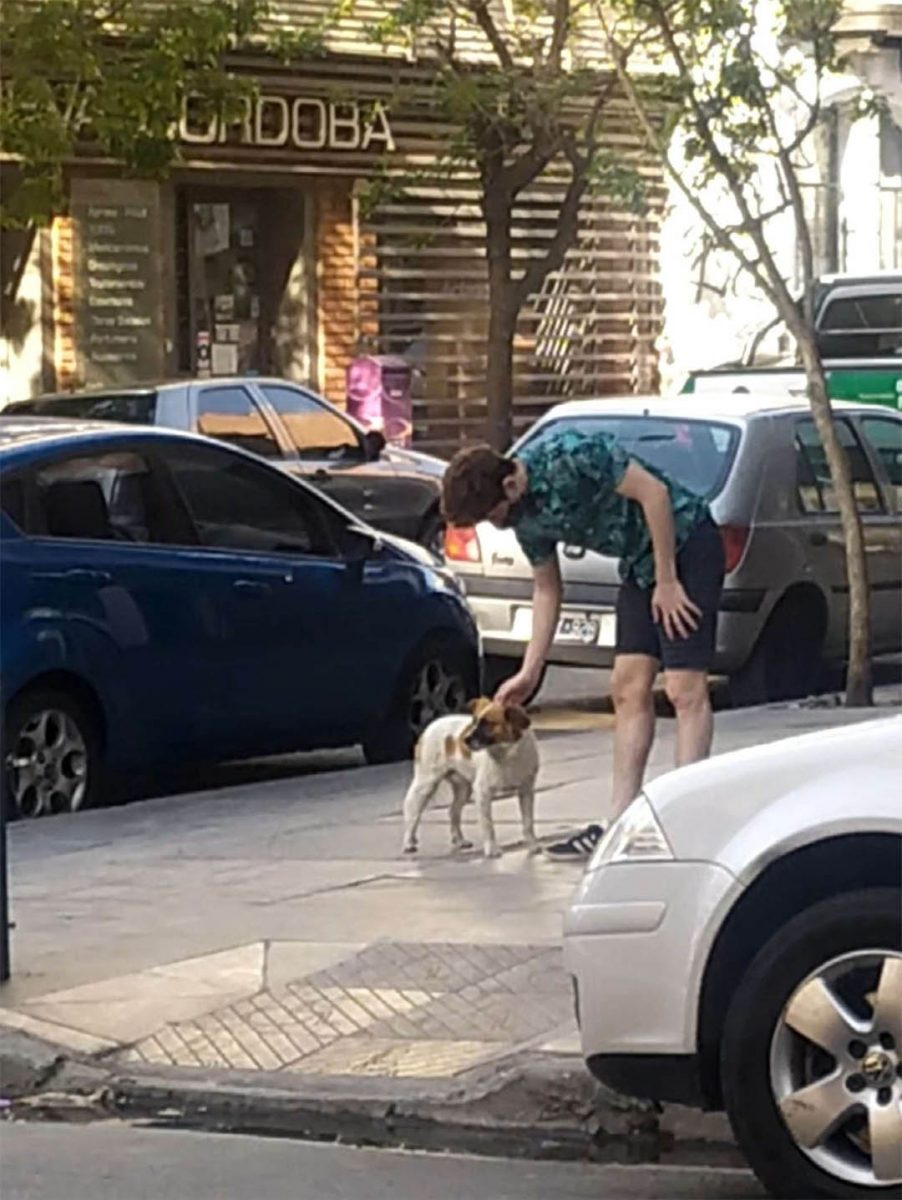 revistacarpediem.com - Cachorrinho abandonado leva os resgatadores a uma placa afixada na porta de um prédio