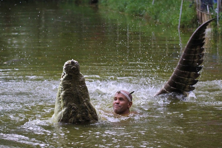 crocombre0000 - Homem acolhe crocodilo ferido e o cria como se fosse um filho há 20 anos