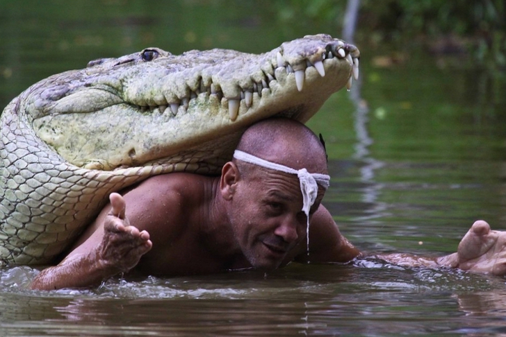 revistacarpediem.com - Homem acolhe crocodilo ferido e o cria como se fosse um filho há 20 anos