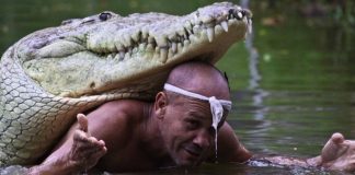 Homem acolhe crocodilo ferido e o cria como se fosse um filho há 20 anos