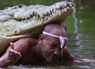 Homem acolhe crocodilo ferido e o cria como se fosse um filho há 20 anos