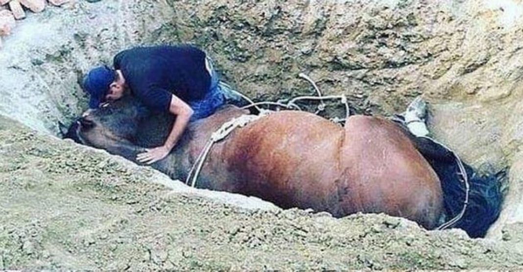 Em luto, jovem chora ao lado de seu fiel amigo que faleceu – um cavalo de estimação