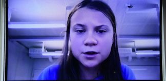 Greta Thunberg diz ao Senado que cuidado de líderes brasileiros ao meio ambiente é ‘vergonhoso’