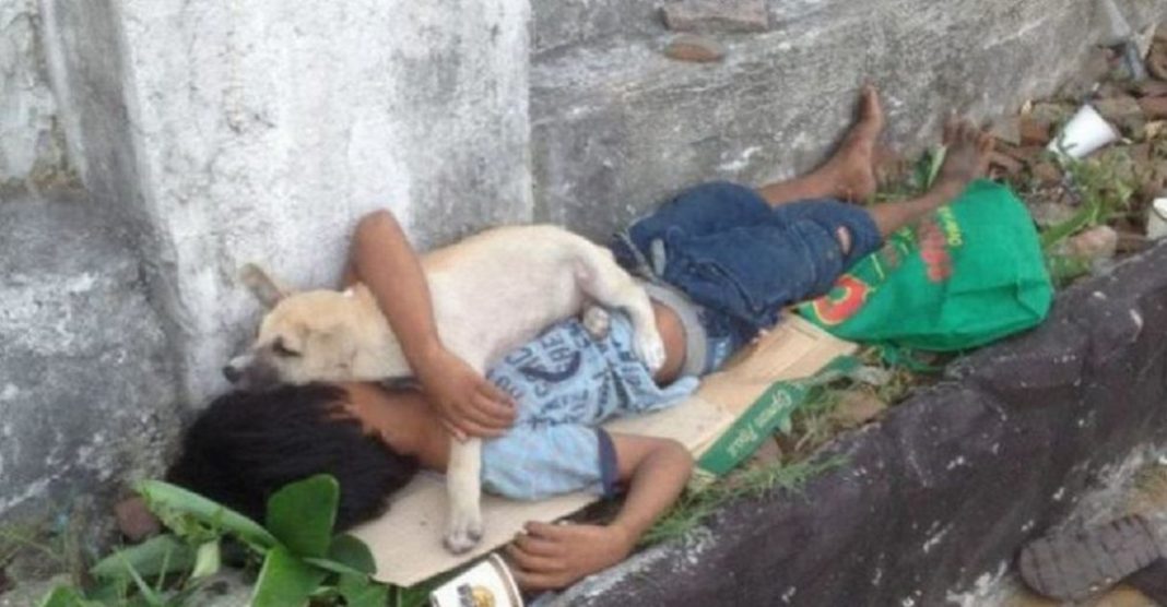 Menino em situação de rua faz amizade com cachorro sem-teto e decide acolhê-lo