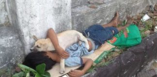 Menino em situação de rua faz amizade com cachorro sem-teto e decide acolhê-lo