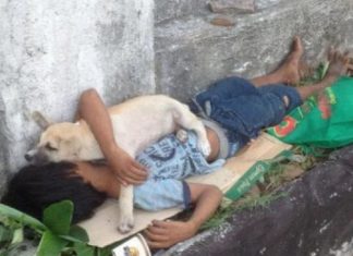 Menino em situação de rua faz amizade com cachorro sem-teto e decide acolhê-lo