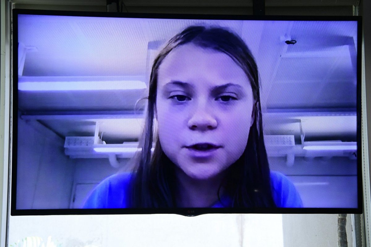 revistacarpediem.com - Greta Thunberg diz ao Senado que cuidado de líderes brasileiros ao meio ambiente é 'vergonhoso'