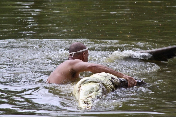 hombre amigo cocodrilo0002 - Homem acolhe crocodilo ferido e o cria como se fosse um filho há 20 anos