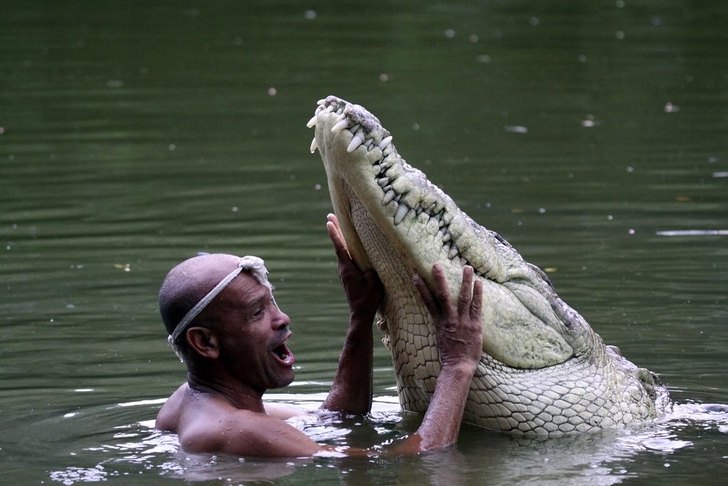 hombre amigo cocodrilo0006 - Homem acolhe crocodilo ferido e o cria como se fosse um filho há 20 anos