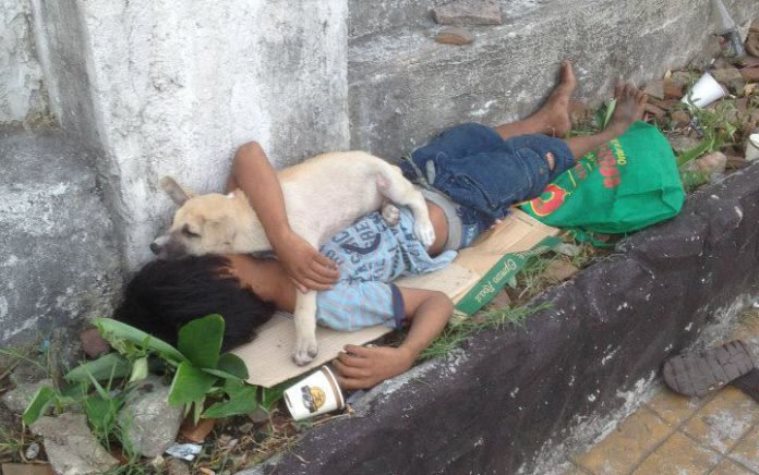 revistacarpediem.com - Menino em situação de rua faz amizade com cachorro sem-teto e decide acolhê-lo