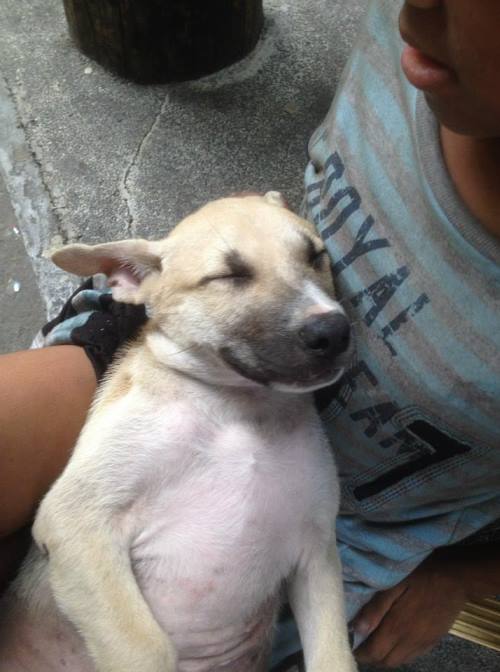 revistacarpediem.com - Menino em situação de rua faz amizade com cachorro sem-teto e decide acolhê-lo