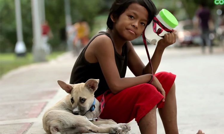 revistacarpediem.com - Menino em situação de rua faz amizade com cachorro sem-teto e decide acolhê-lo