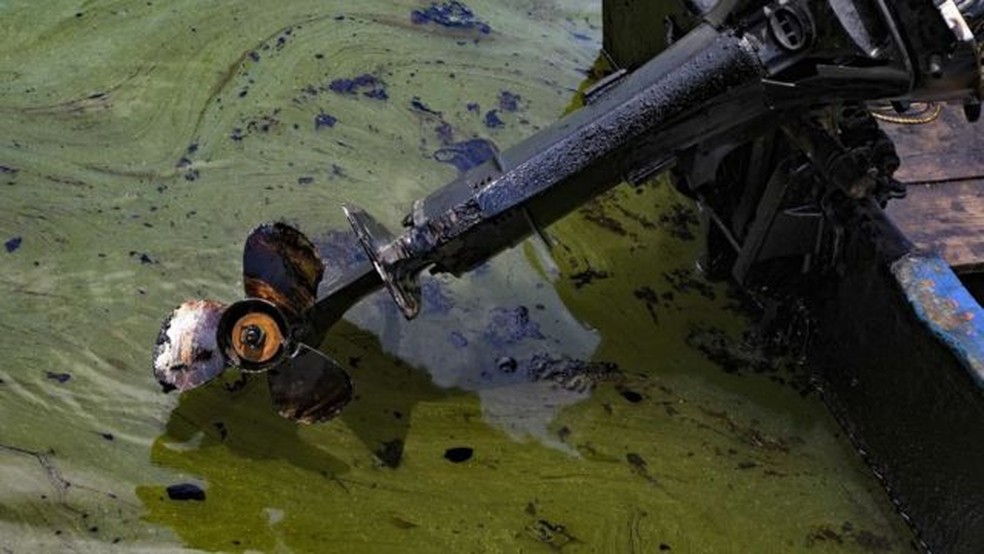 revistacarpediem.com - Maior lago da América do Sul está ficando "podre", com consequências fatais - entenda porquê