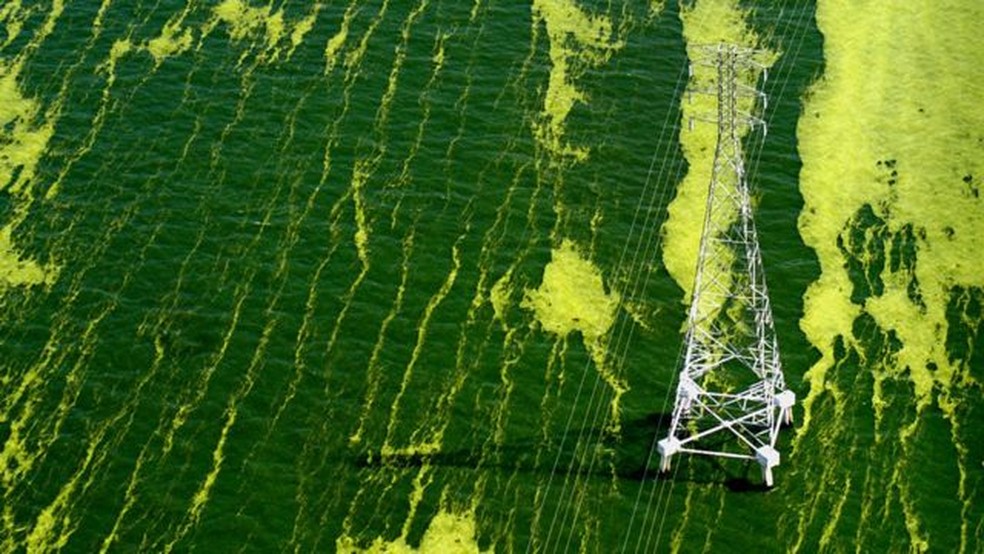 revistacarpediem.com - Maior lago da América do Sul está ficando "podre", com consequências fatais - entenda porquê