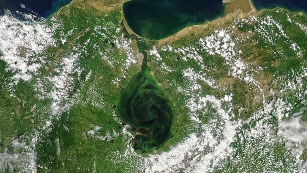 revistacarpediem.com - Maior lago da América do Sul está ficando "podre", com consequências fatais - entenda porquê