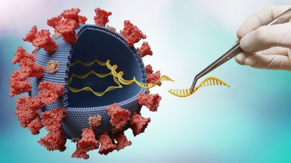 revistacarpediem.com - Cientistas alertam sobre nova variante detectada na África do Sul: '50 mutações ao mesmo tempo'