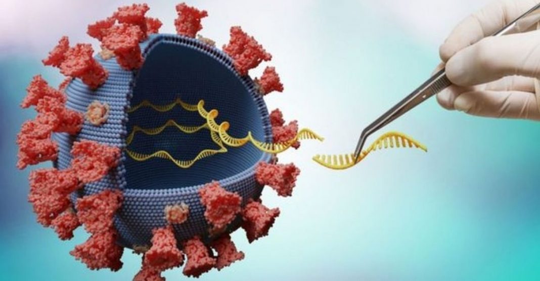 Cientistas alertam sobre nova variante detectada na África do Sul: ’50 mutações ao mesmo tempo’