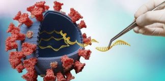 Cientistas alertam sobre nova variante detectada na África do Sul: ’50 mutações ao mesmo tempo’