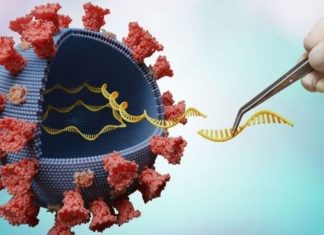 Cientistas alertam sobre nova variante detectada na África do Sul: ’50 mutações ao mesmo tempo’