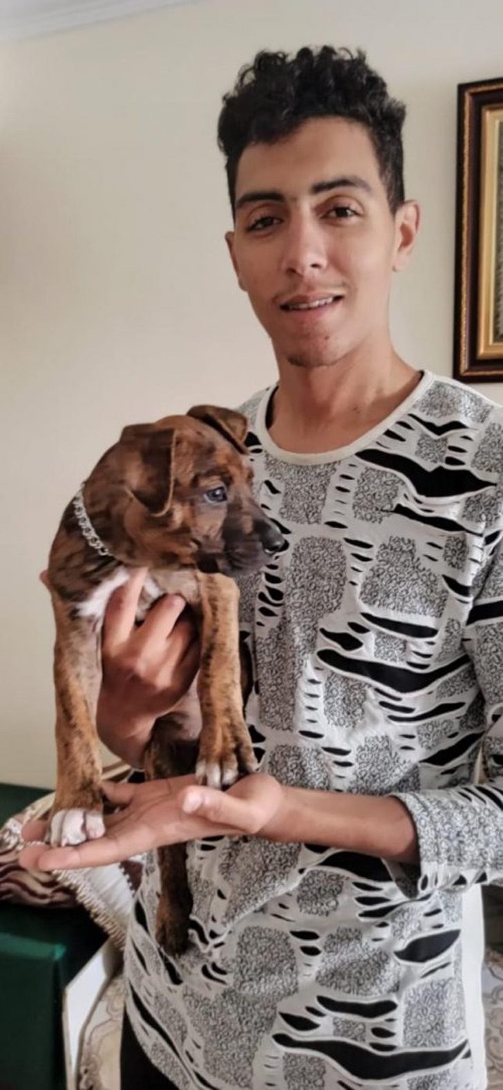 revistacarpediem.com - Nos braços do dono, cãozinho 'imigrante' chega de jangada ao litoral da Espanha