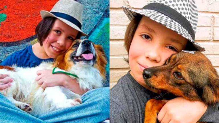 1 13 - Menino de 11 anos dá banho e vacina cães de rua para ajudá-los a encontrar um novo lar