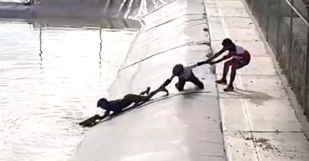 Trio de ciclistas se unem para resgatar cachorro que estava se afogando em barragem: ‘Esforço recompensador’