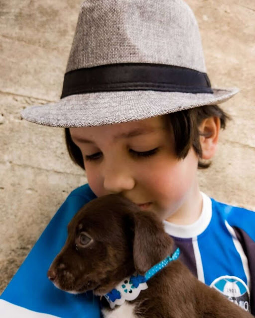 5 21 - Menino de 11 anos dá banho e vacina cães de rua para ajudá-los a encontrar um novo lar