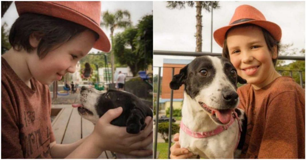 Menino de 11 anos dá banho e vacina cães de rua para ajudá-los a encontrar um novo lar