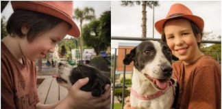 Menino de 11 anos dá banho e vacina cães de rua para ajudá-los a encontrar um novo lar