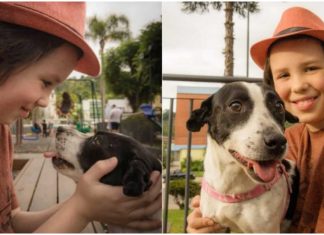 Menino de 11 anos dá banho e vacina cães de rua para ajudá-los a encontrar um novo lar
