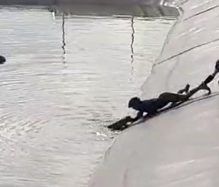revistacarpediem.com - Trio de ciclistas se unem para resgatar cachorro que estava se afogando em barragem: 'Esforço recompensador'