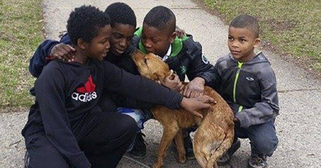 4 crianças corajosas resgatam cãozinho faminto amarrado em cordas
