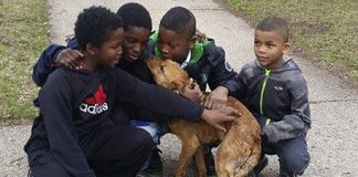 4 crianças corajosas resgatam cãozinho faminto amarrado em cordas