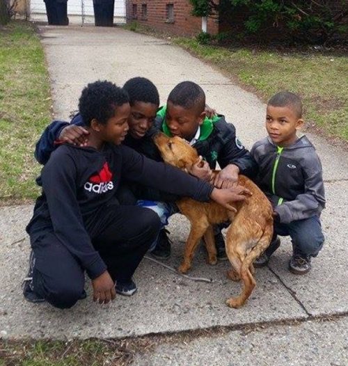 caozinho3 - 4 crianças corajosas resgatam cãozinho faminto amarrado em cordas