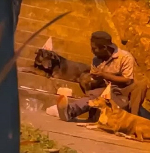 choco1 - Morador de rua é flagrado comemorando o aniversário de seu cão do jeito mais fofo