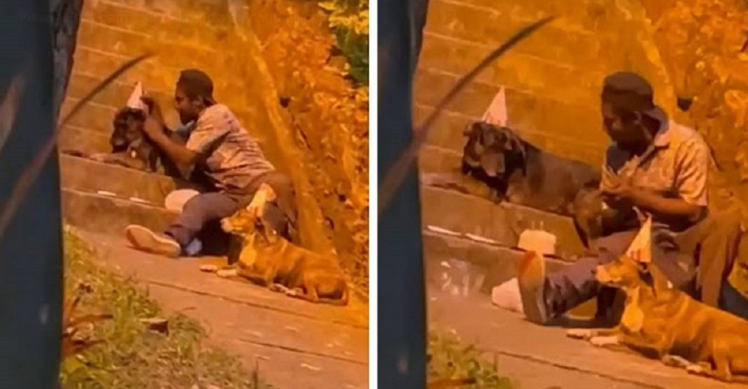 Morador de rua é flagrado comemorando o aniversário de seu cão do jeito mais fofo