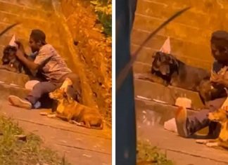 Morador de rua é flagrado comemorando o aniversário de seu cão do jeito mais fofo